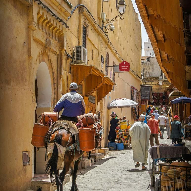 Excursión a Marruecos